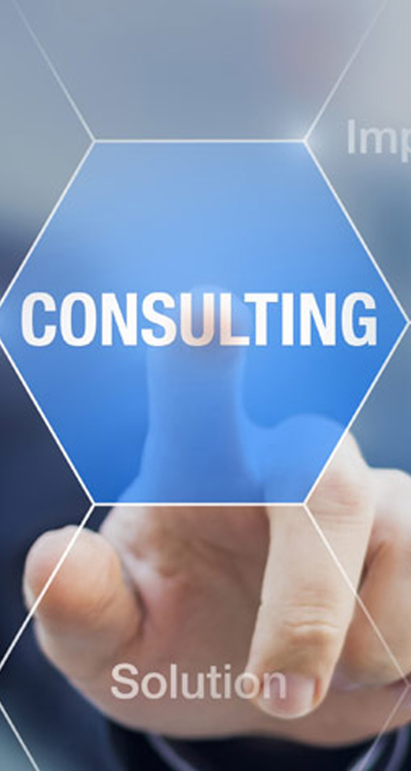 Consulting services